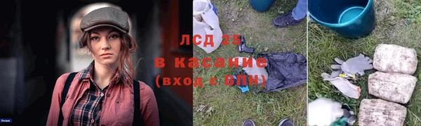 стаф Кинешма
