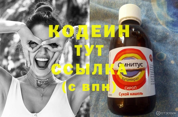 стаф Кинешма