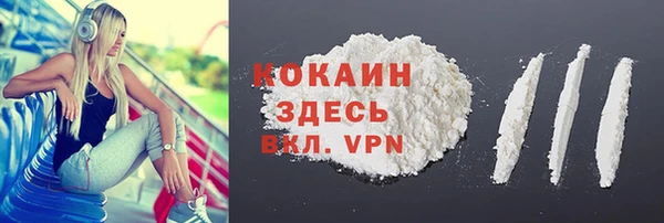 стаф Кинешма