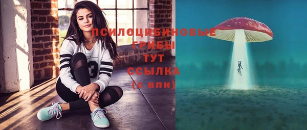 стаф Кинешма